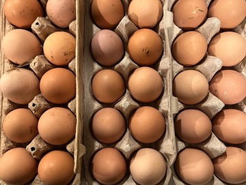Selling with online payment: Fresh Brown Eggs