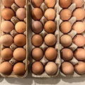 Selling with online payment: Fresh Brown Eggs