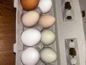 Selling with online payment: Fresh eggs straight from our family ranch in Patterson, CA   