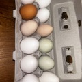 Selling with online payment: Fresh eggs straight from our family ranch in Patterson, CA   