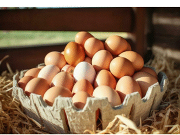Selling with online payment: Farm Eggs