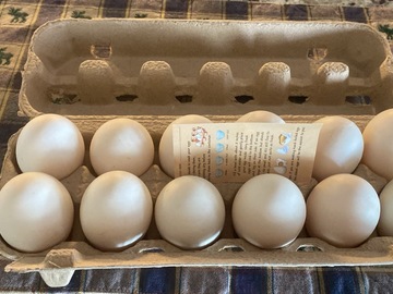 Selling with In-person Payment: Farm fresh Duck Eggs 