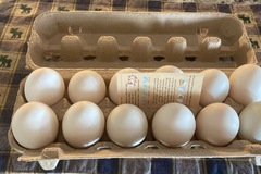 Selling with In-person Payment: Farm fresh Duck Eggs 