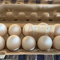 Selling with In-person Payment: Farm fresh Duck Eggs 