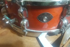 VIP Member: TAMA 5.5.5X14" MAPLE SHELL SNARE DRUM 