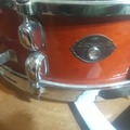 VIP Member: TAMA 5.5.5X14" MAPLE SHELL SNARE DRUM 