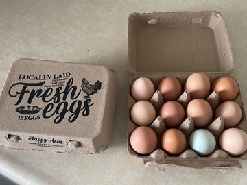 Selling with In-person Payment: Organic farm fresh eggs for sale ( Petaluma, CA)