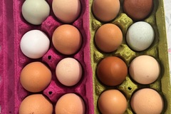 Selling with online payment: Local Fresh Eggs