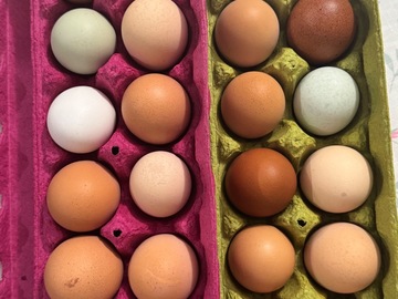 Selling with In-person Payment: Local fresh eggs 