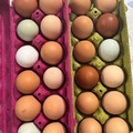 Selling with In-person Payment: Local fresh eggs 