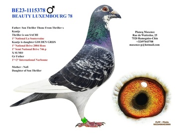 Vente avec paiement en ligne: REPRODUCTEUR 2023