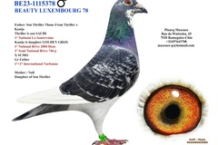 Vente avec paiement en ligne: REPRODUCTEUR 2023