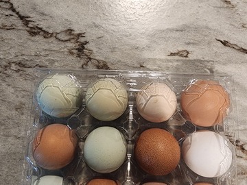 Selling with In-person Payment: Fresh chicken eggs