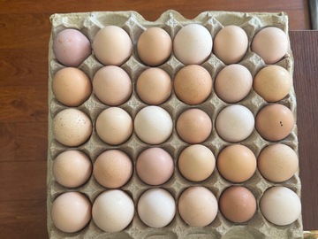 Selling with In-person Payment: Farm fresh eggs