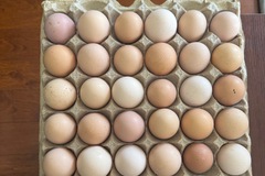 Selling with In-person Payment: Farm fresh eggs