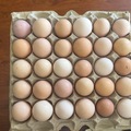 Selling with In-person Payment: Farm fresh eggs