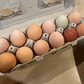 Selling with In-person Payment: Free range chicken eggs