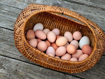 Selling with In-person Payment: Farm fresh Chicken eggs