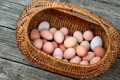 Selling with In-person Payment: Farm fresh Chicken eggs