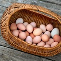 Selling with In-person Payment: Farm fresh Chicken eggs