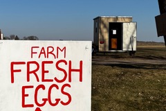 Selling with In-person Payment: Farm Fresh Chicken Eggs $2/dozen