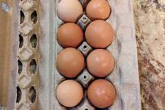 Selling with online payment: Farm Fresh Eggs