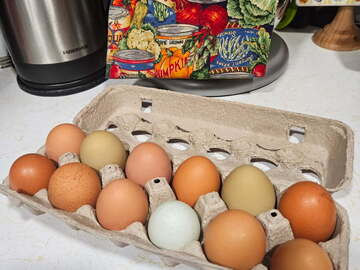 Selling with In-person Payment: Farm Fresh Eggs