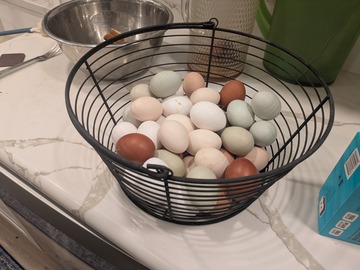 Selling with In-person Payment: Farm Fresh Eggs