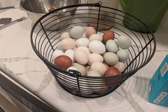 Selling with In-person Payment: Farm Fresh Eggs