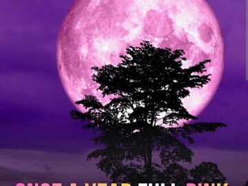 Selling: PINK FULL MOON COME BACK TO ME
