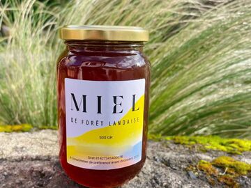 Les miels : Miel de Forêt Landaise 