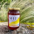 Les miels : Miel de Forêt Landaise 