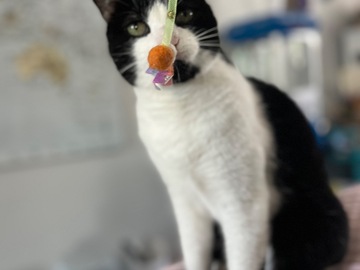   : Bruddah and Crybaby