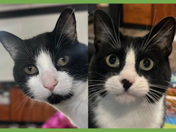  : Bruddah and Crybaby