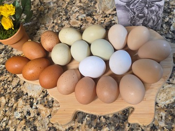 Selling with In-person Payment: Farm Fresh Chicken Eggs