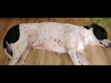 Selling: Psychic Detective Secrets Lies Cheating Revealed