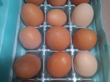 Selling with In-person Payment: Farm fresh