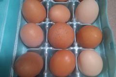 Selling with In-person Payment: Farm fresh