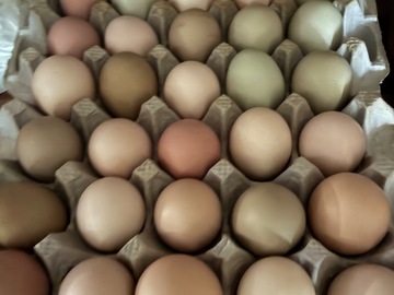 Selling with In-person Payment: Fresh eggs 
