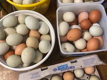 Selling with In-person Payment: Rainbow eggs