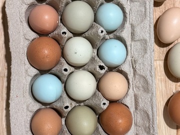 Selling with In-person Payment: Rainbow Eggs | Soy-Free & Free-Range | Farm Fresh