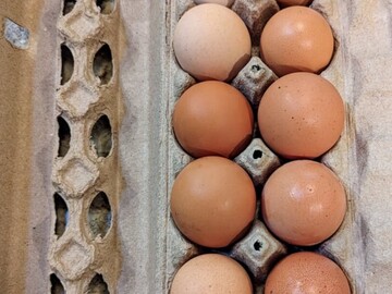 Selling with In-person Payment: Fresh farm eggs