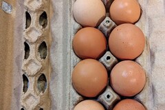 Selling with In-person Payment: Fresh farm eggs