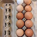 Selling with In-person Payment: Fresh farm eggs
