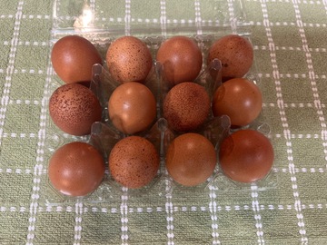 Selling with In-person Payment: Soy Free Unwashed Chicken Eggs
