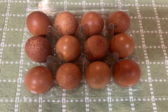 Selling with In-person Payment: Soy Free Unwashed Chicken Eggs