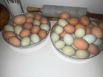Selling with online payment: All natural fresh chicken eggs 