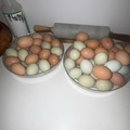 Selling with online payment: All natural fresh chicken eggs 