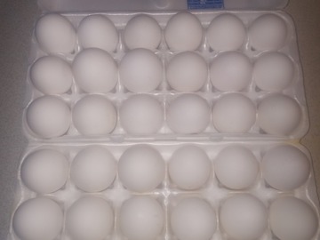 Selling with In-person Payment: Large White Fresh Eggs
