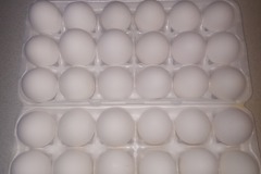 Selling with In-person Payment: Large White Fresh Eggs